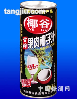 椰谷果肉椰子汁250ml