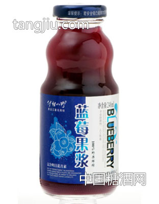 藍莓果漿248ml