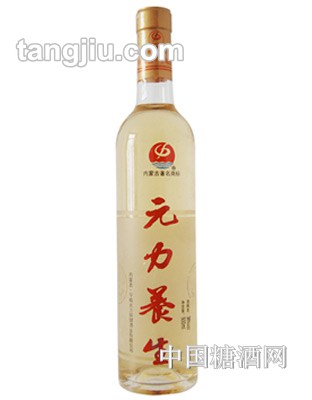 光瓶養(yǎng)生酒500ml