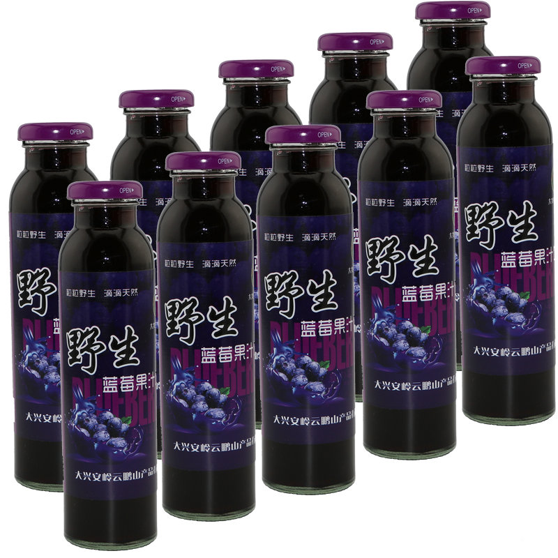 神州北極 天然 野生藍莓汁 藍莓果汁 藍莓飲料 300ml