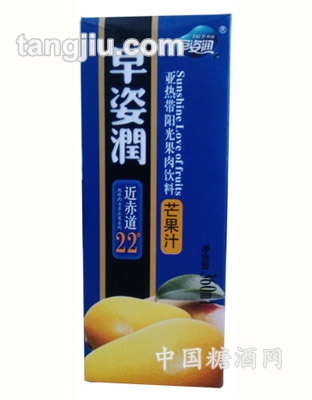 亞熱帶陽(yáng)光果肉飲料芒果汁360ml