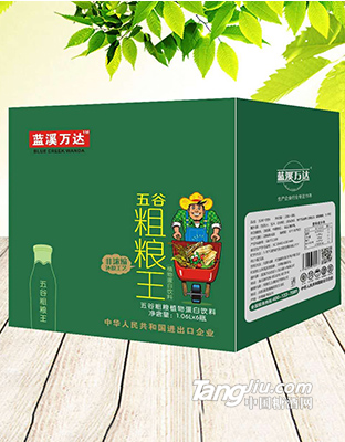 藍(lán)溪萬達(dá)五谷粗糧植物蛋白飲料1.06L*6瓶