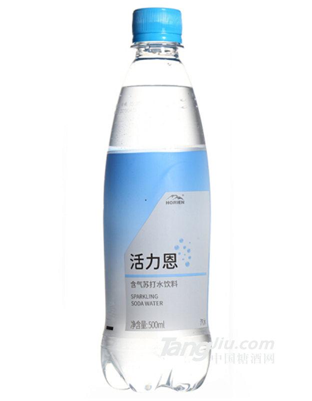 活力恩克東天然含氣蘇打水500ml