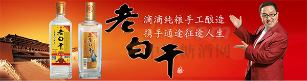 衡水老窖坊酒業(yè)有限公司 (1).png