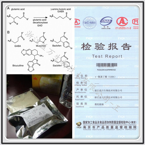 伽瑪氨基丁酸