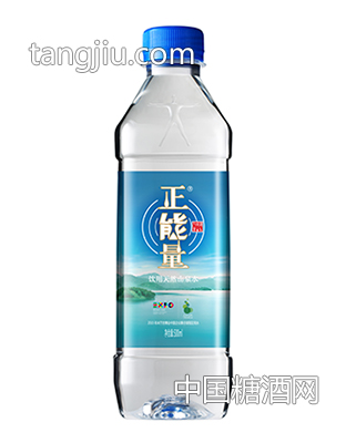 正能量山泉水500ml