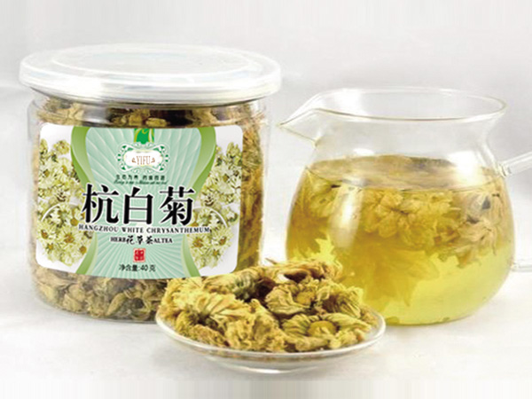 杭白菊茶